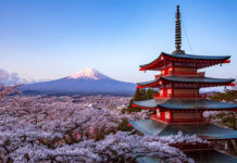 RECORD: Japón recibió a más de 22.000 argentinos en el primer semestre de 2026