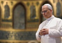 El Vaticano puso en duda el viaje de León XIV a la Argentina: “Debemos esperar”