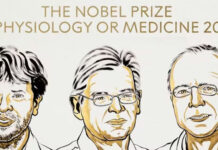El Nobel de Medicina 2026 fue para tres científicos que descubrieron cómo controlar el cerebro y las neuronas con luz
