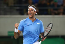 Tenis: Juan Martín Del Potro nuevamente nominado al Salón de la Fama