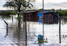 “Se multiplican los riesgos”: advierten que las alteraciones climáticas de El Niño favorecen la propagación de enfermedades