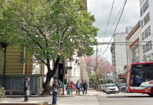 Apenas unas horas de sol en la PBA y el AMBA: vuelven las lluvias y hay alertas en 15 provincias