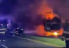 Complejo Zárate-Brazo Largo: anoche tras un choque multimple seguido de incendio murió un camionero