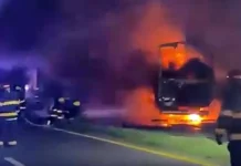 Complejo Zárate-Brazo Largo: anoche tras un choque multimple seguido de incendio murió un camionero