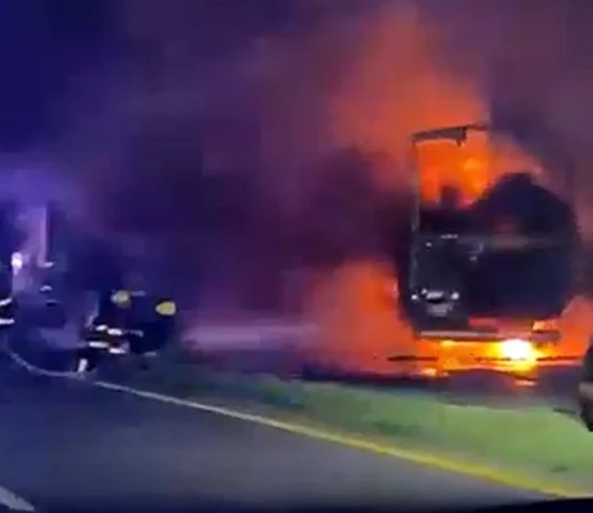 Complejo Zárate-Brazo Largo: anoche tras un choque multimple seguido de incendio murió un camionero
