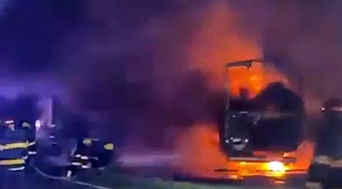 Complejo Zárate-Brazo Largo: anoche tras un choque multimple seguido de incendio murió un camionero